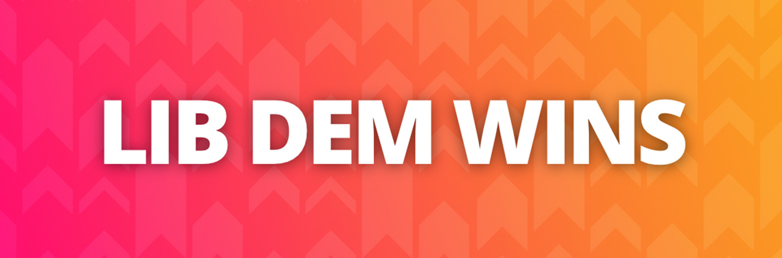 Lib Dem wins