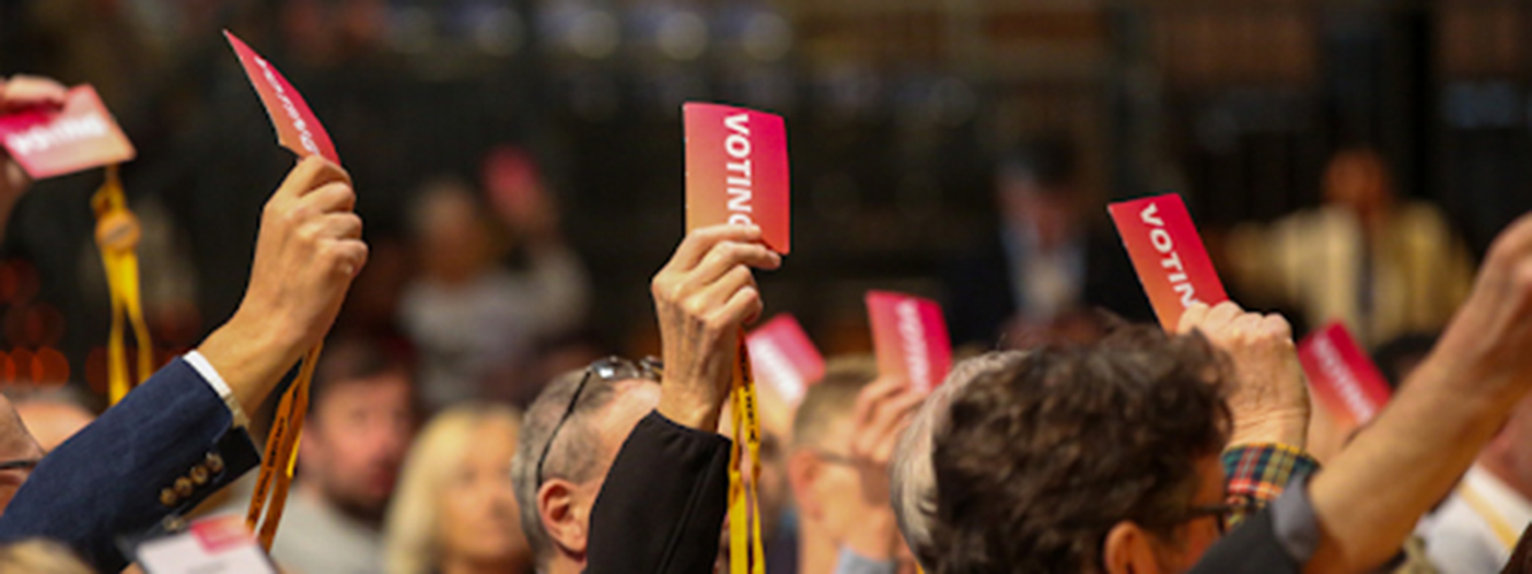 People raise their voting cards in the Conference auditorium to vote.