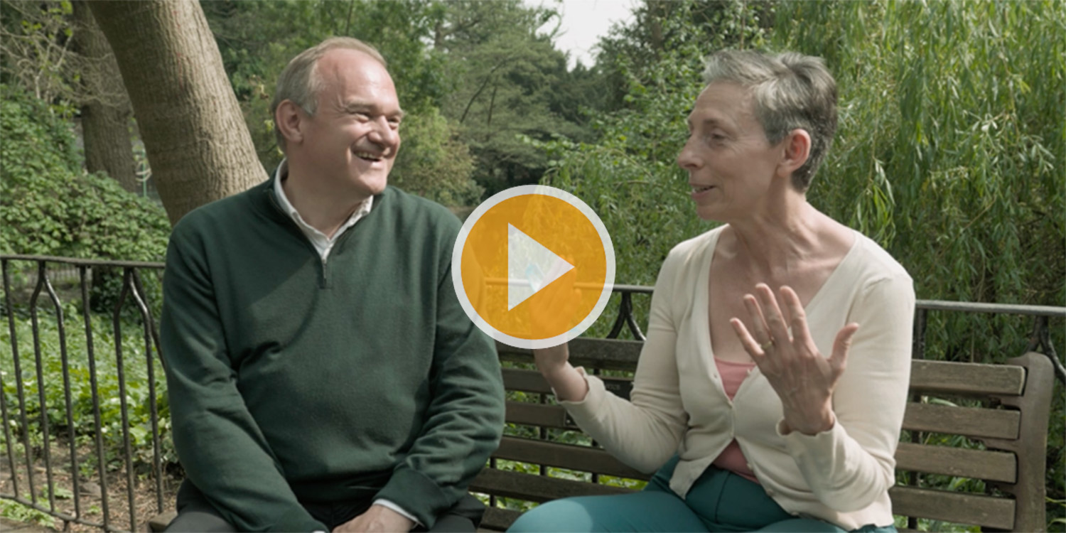 Screenshot of Liberal Democrat PEB.