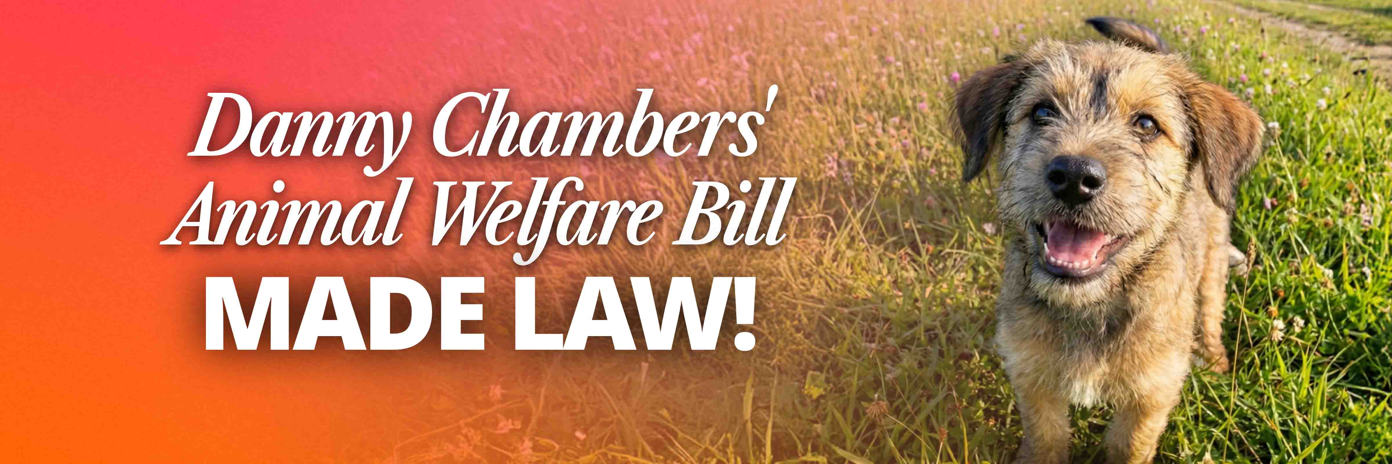 Danny Chambers' Animal Welfare Bill MADE LAW!