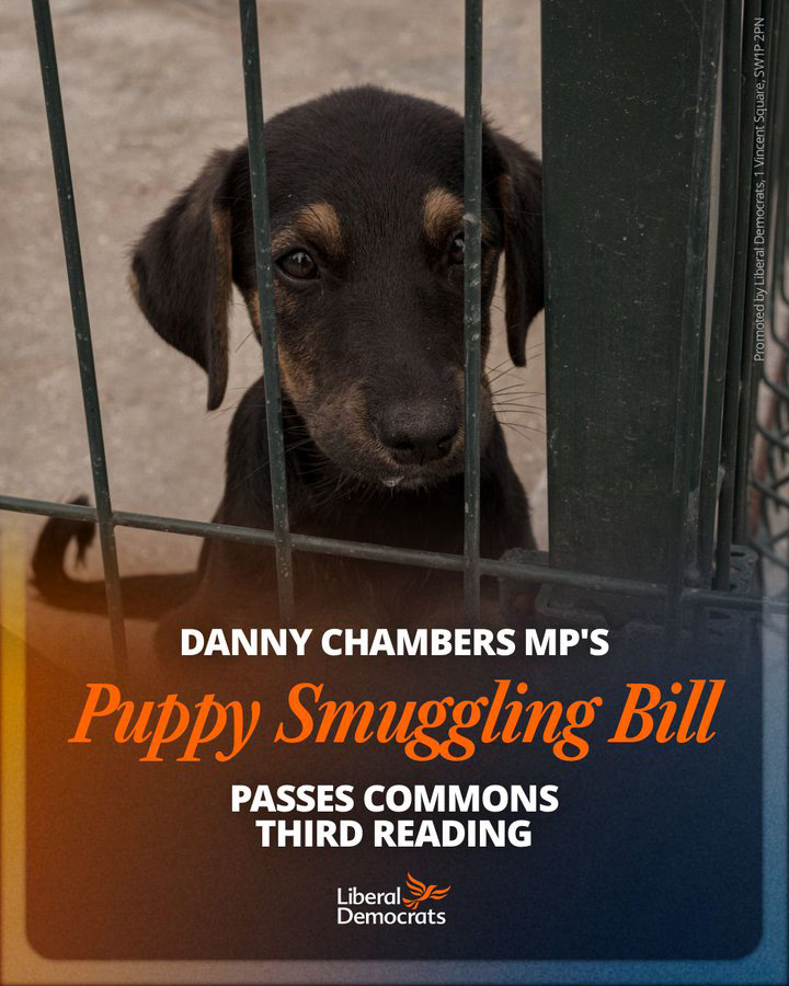 Social media post - Danny Chambers MP's Puppy Smuggling Bill passes Commons third reading.