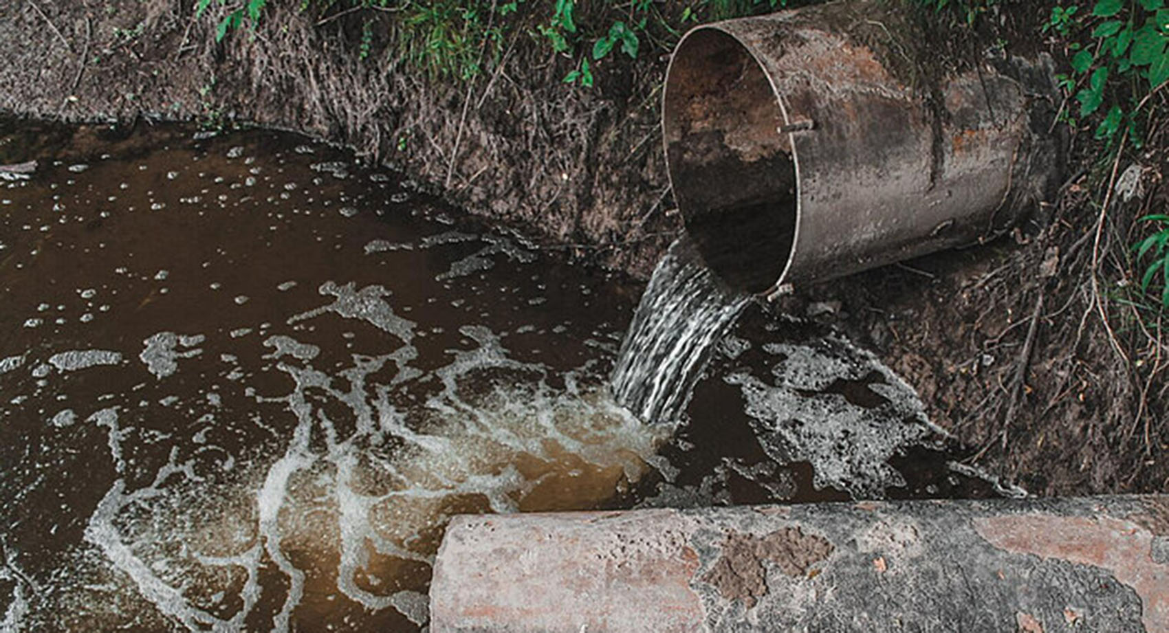 Water flowing from a pipe into murky waters.